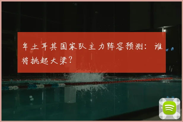 年土耳其国家队主力阵容预测：谁将挑起大梁？